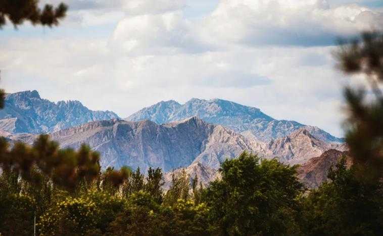 中国酿酒葡萄园碳汇交易首单落地！中粮长城天赋酒庄引领产业&ldquo;绿色价值&rdquo;