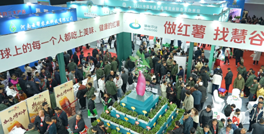 慧谷2号鲜食薯品种，风靡中国甘薯博览会｜第七届中国甘薯产业博览会圆满落幕