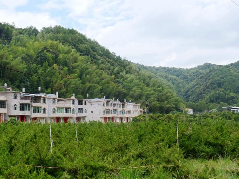 长汀：森林&ldquo;四库&rdquo;联动发力 一根翠竹&ldquo;链&rdquo;就兴村富民路