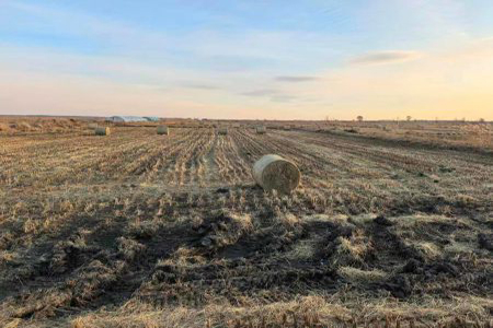 从田间&ldquo;包袱&rdquo;到多元&ldquo;宝藏&rdquo;：齐齐哈尔千万吨秸秆的资源化转型之路