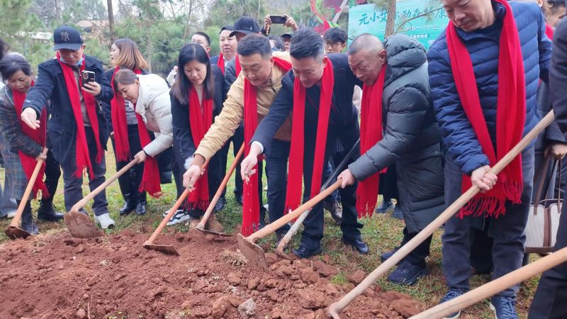 3万粒艾灸种子扎根弥勒 全国首个艾灸主题森林康养基地启航