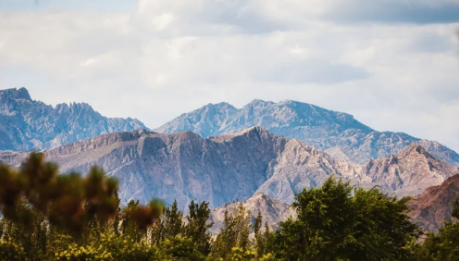 葡萄酒如何挑选，长城葡萄酒持续推进产业绿色生态建设