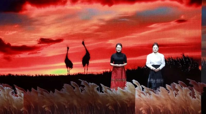 齐齐哈尔第十四届飞鹤&middot;扎龙诗会：&ldquo;腾飞与梦想&rdquo;演绎鹤舞诗韵
