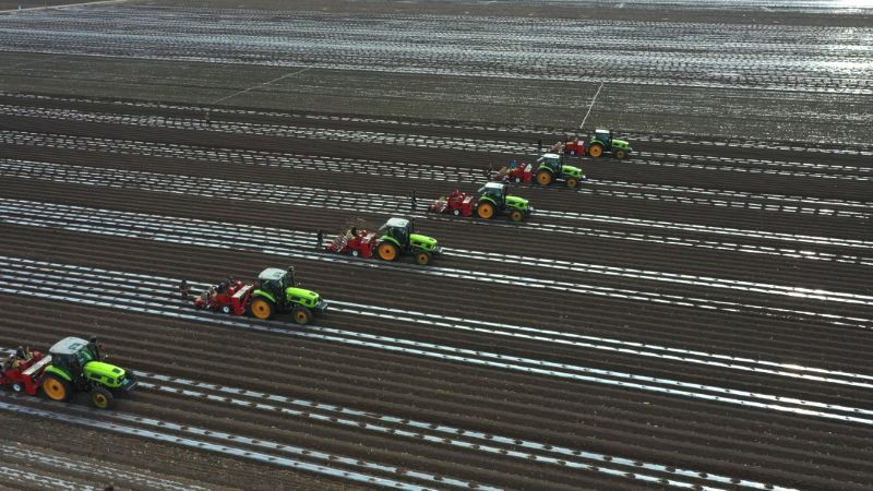 扛稳粮食安全重任 齐齐哈尔市硬核举措筑牢丰收根基
