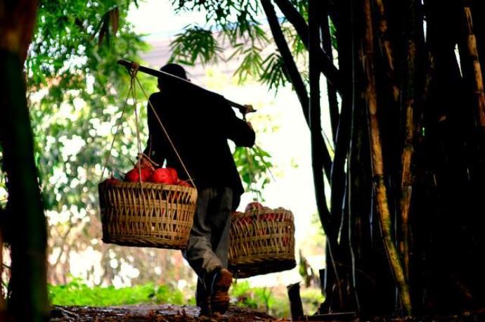 幽谷回音与人间独白