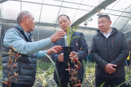 华安县委书记带队赴南靖县学习考察 擘画县域高质量发展蓝图