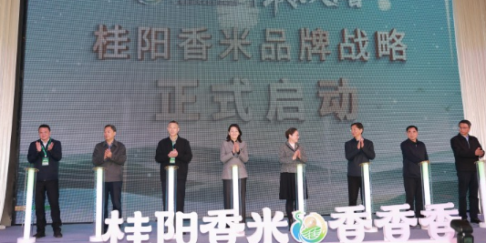 &ldquo;桂阳香米&rdquo;品牌战略正式发布 助推&ldquo;湘米出湘&rdquo;