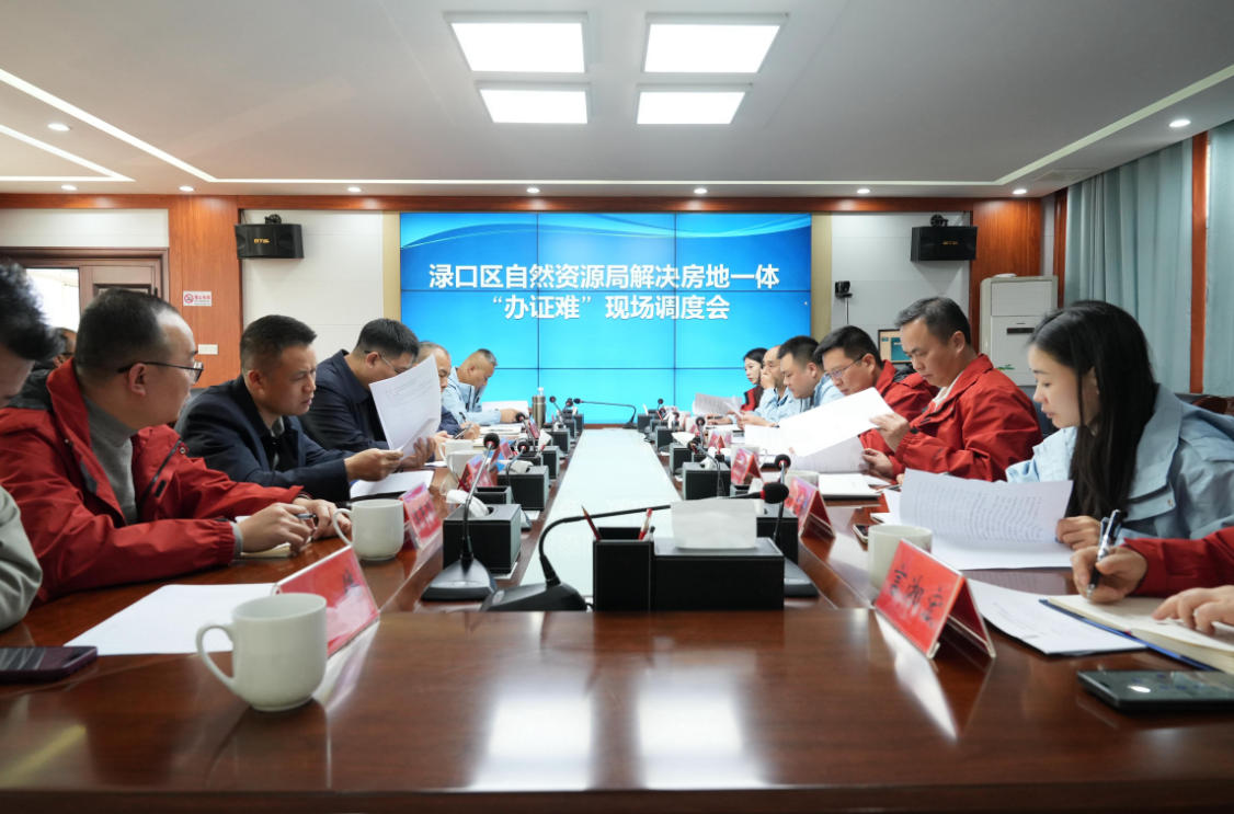 株洲渌口区自然资源局：破&ldquo;办证&rdquo;难题，筑&ldquo;产权&rdquo;保障