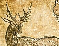 南京太平天国壁画艺术馆首开放 穿越百年艺术魅力