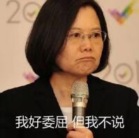 蔡英文见美国人突然卡壳：我说中文有困难