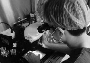 媒体揭秘&ldquo;地下捐精&rdquo;:可发生性关系至怀孕