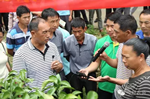 广西荔蒙砂糖桔种植协会举办技术交流会纪实