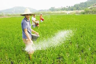 &ldquo;软实力&rdquo;能否带动农资产业实现&ldquo;硬增长&rdquo;?