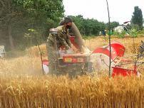 沈丘农机服务&ldquo;三夏&rdquo;备战忙