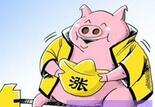 猪肉均价刷新历史 机构预测5月CPI同比上涨2.3%