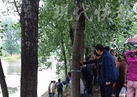 单身女夜出失联 4天后尸体在河道内寻获