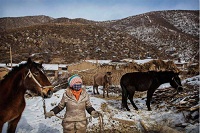 《残酷底层物语》：疯传的城乡阶级想像