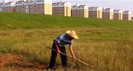 国土部：农地入市需征20%-50%调节金 上缴地方国库