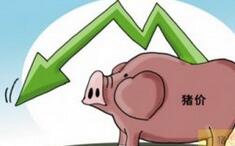 下半年物价或低位平稳运行 猪价现下滑趋势