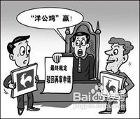 近1年网民被侵权损失915亿元 人均133元