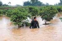 南方11省洪涝灾害直接经济损失超百亿