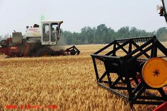 江苏:烘干机械给力麦收不看天色