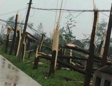 江苏盐城龙卷风灾害致98人死亡 其中阜宁97人