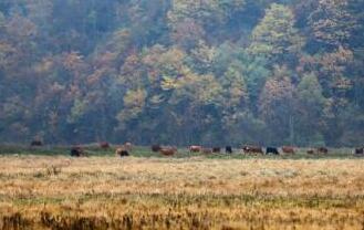 湖北神农架多名摄影爱好者无人区迷路 仍在搜救