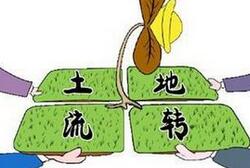 农业部：集体土地经营权流转须2/3村民代表同意