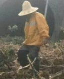 长江中下游汛情持续 南京大水围城地铁站灌水