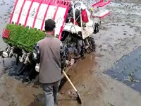 一个农民的水稻覆膜直播创新故事