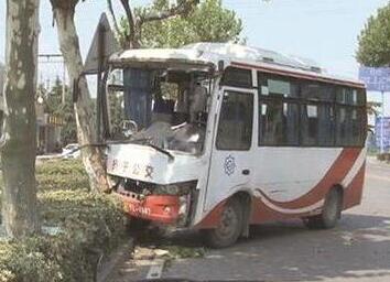 大巴车司机分神撞上大树 车上多名乘客受轻伤