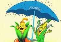 &ldquo;妮妲&rdquo;肆虐，农业保险如何打破&ldquo;因灾返贫&rdquo;怪圈？