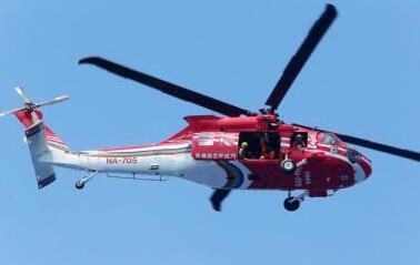 台救援直升机滑行道上准备起飞 意外遭鸟袭击