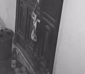 名校生工作1个月烧炭自杀：下辈子还做第一