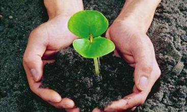 微生物肥迎来发展机遇