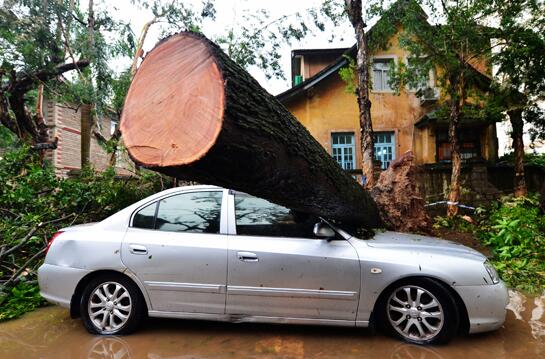 台风&ldquo;莫兰蒂&rdquo;重创厦门