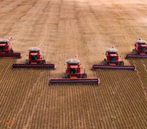 黑龙江：现代化大农机展身手确保颗粒归仓