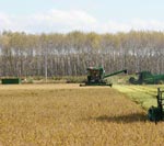 气象专家建议黑龙江加快秋收进度