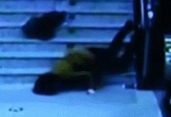 下楼梯看手机 女子一脚踩空滚下十多米