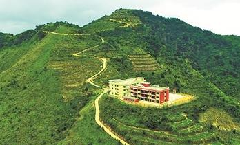 福建安溪：从茶园到茶杯 &ldquo;升级热&rdquo;不间断