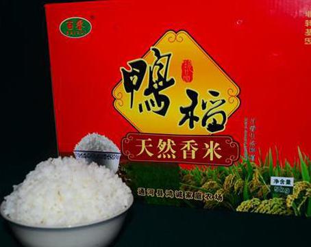 黑龙江：通河县鸿诚家庭农场&ldquo;鸭稻香米&rdquo;香米中的佼佼者