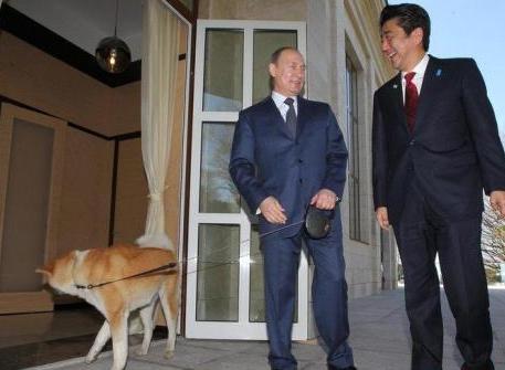 安倍欲送狗给普京遭拒 台媒：&ldquo;狗狗外交&rdquo;破产