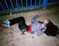 广外女生在学校跑步时被割喉