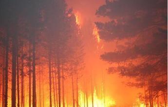 2016年未发生一次亡10人以上火灾 系新中国首次