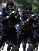 最高检：对犯罪情节严重的&ldquo;村霸&rdquo;快捕快诉