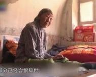 CNN打脸 日本政府仍否认强征&ldquo;慰安妇&rdquo;