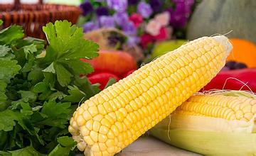 &ldquo;鲜甜糯&rdquo;带来玉米产业新气象