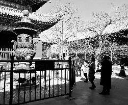 雍和宫文物频被拿钱砸 游客对提示牌视若无睹