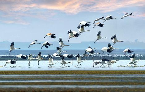 &ldquo;候鸟老人&rdquo;的迁徙生活